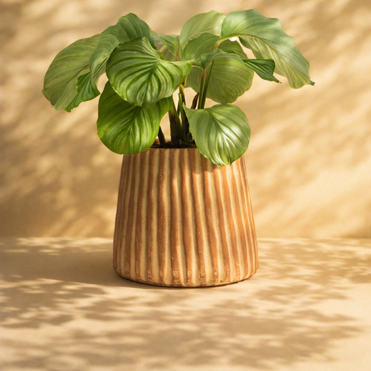 Elvira Terracotta Planter by MESO
