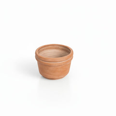 Felipe Terracotta Planters by MESO