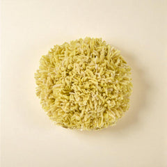 Momo Lemon Wool Pillow by Casa Edel