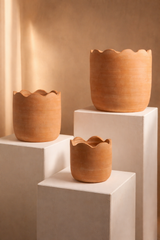 Wavy Terracotta Planters by MESO