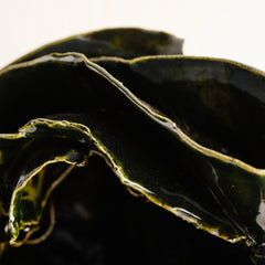 Aj IV Decorative Vase by Mira Mira