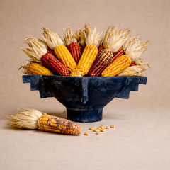 Ocote Terracotta Bowl by MESO