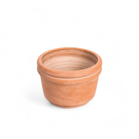 Felipe Medium Terracotta Planter by MESO