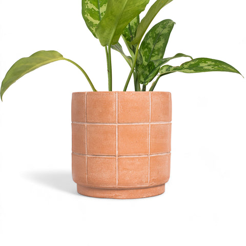 Grid Small Terracotta Planter