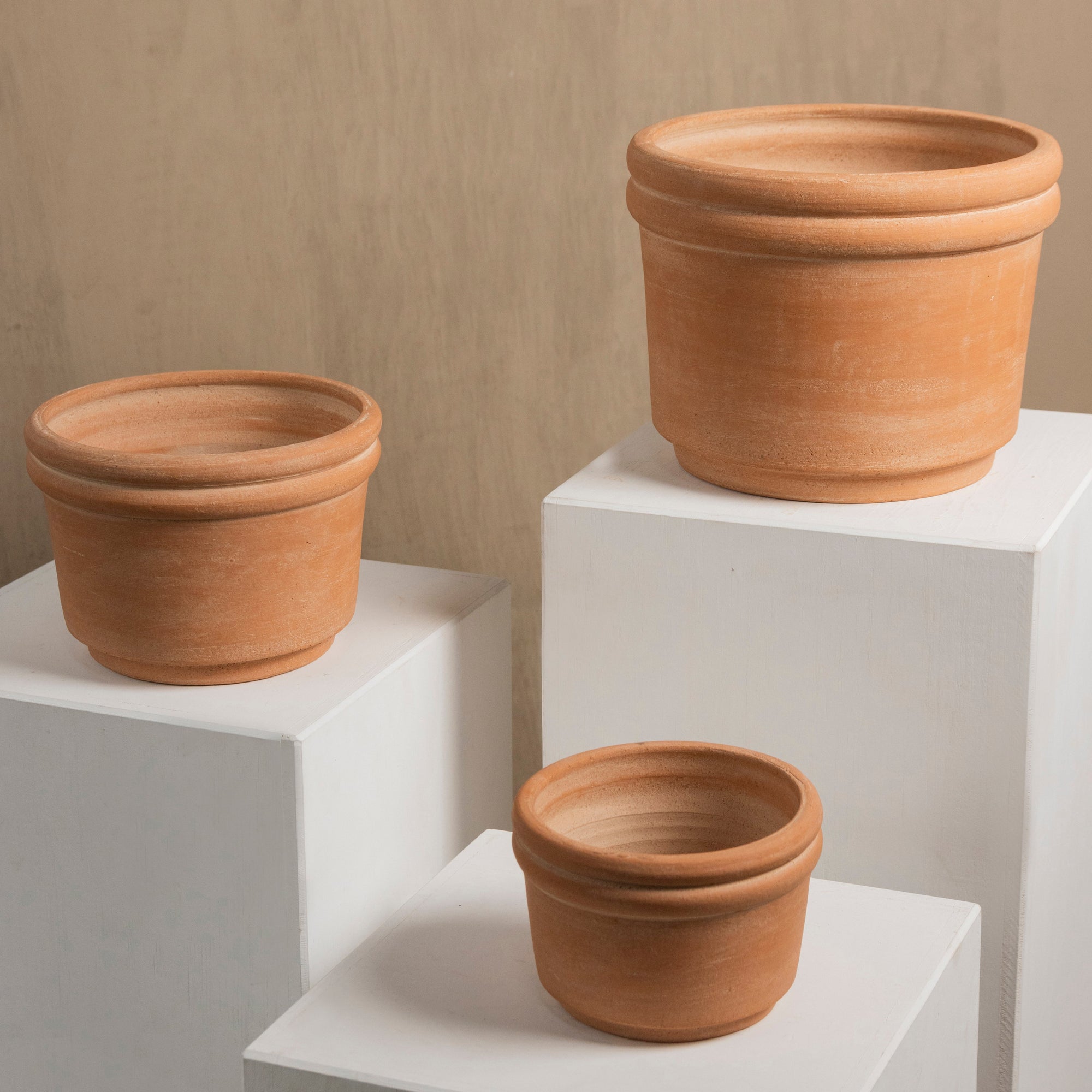 Felipe Medium Terracotta Planter by MESO