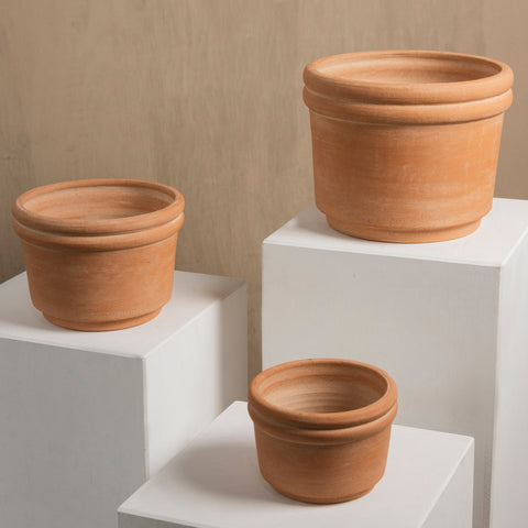 Felipe Medium Terracotta Planter by MESO