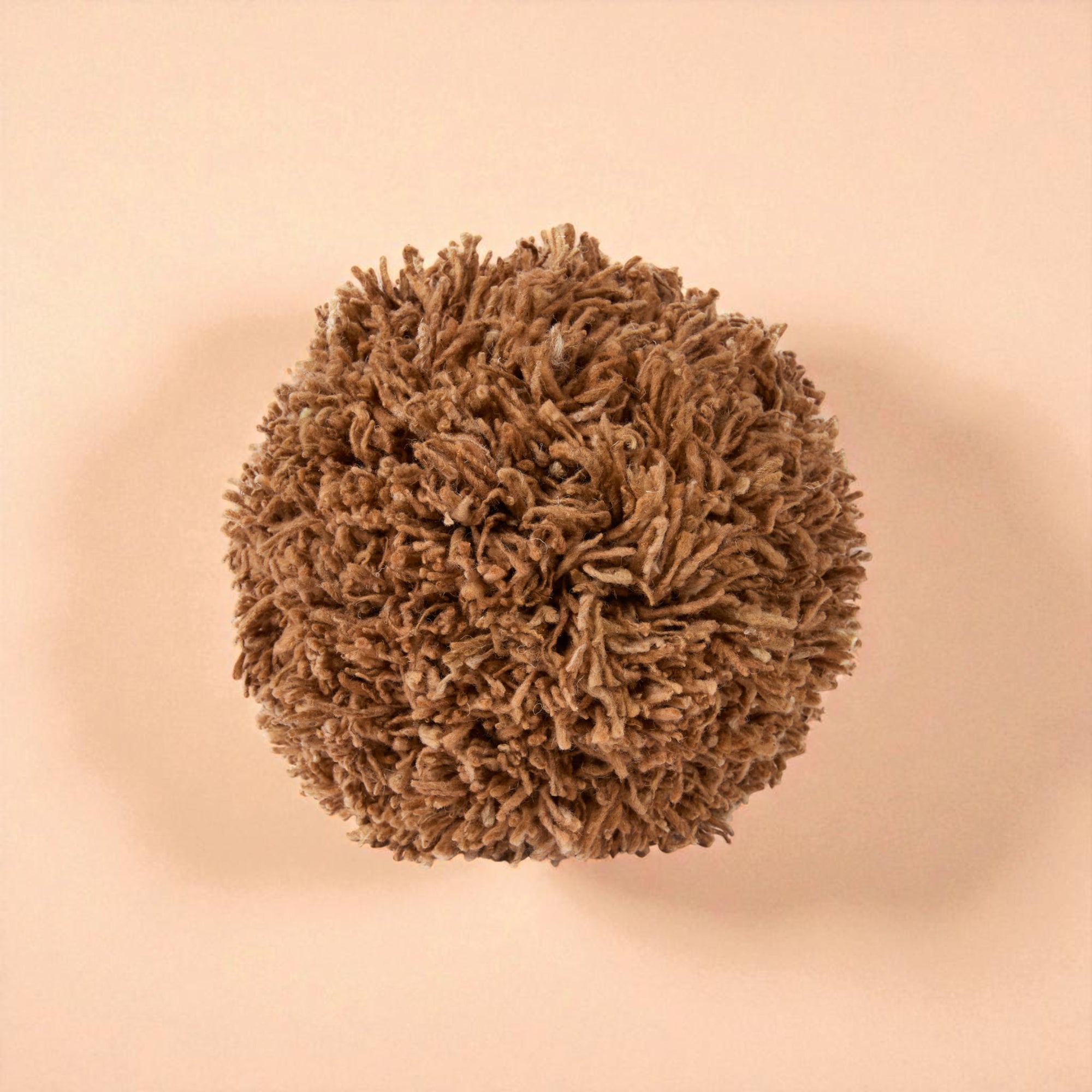 Momo Sandy Wool Pillow by Casa Edel