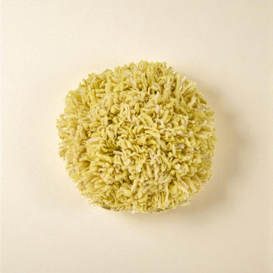 Momo Lemon Wool Pillow by Casa Edel