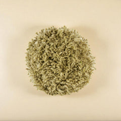 Momo Verde Wool Pillow by Casa Edel