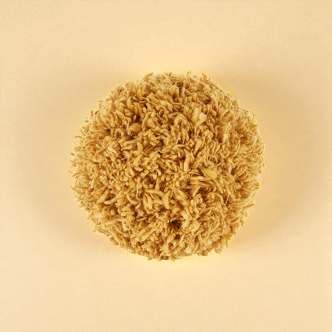 Momo Mostaza Wool Pillow by Casa Edel