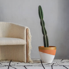 Senderos Wool Rug by Diego Olivero Studio